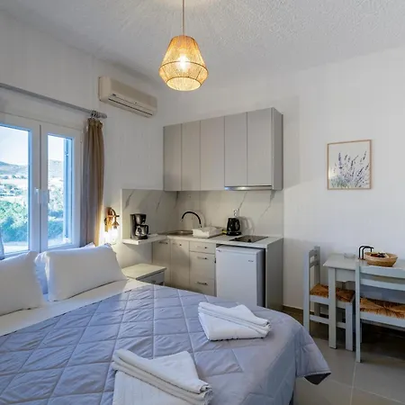 Lavender Minimal Apartment