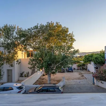 Lavender Minimal * Aliki (Paros)