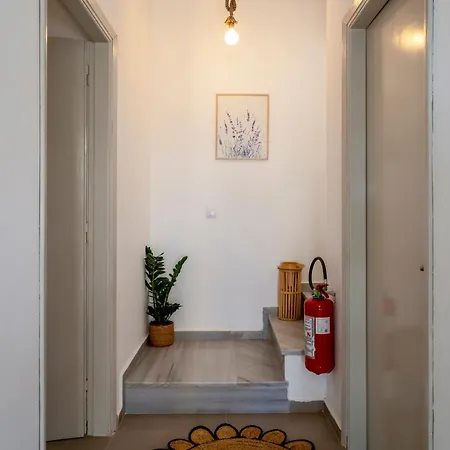 Lavender Minimal Apartamento *